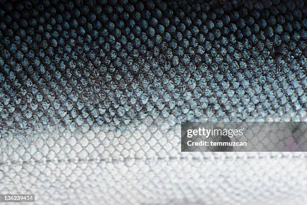 salmon scales with blue and white - fishes stockfoto's en -beelden