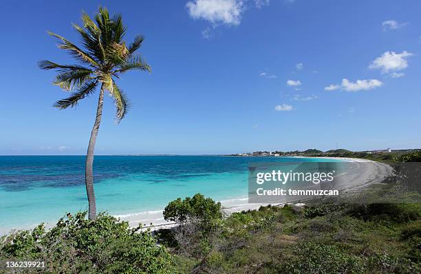 beach series - antigua & barbuda 個照片及圖片檔