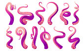 Tentacles of octopus, squid or kraken