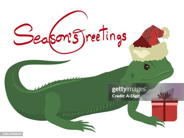 cute christmas lizard - bearded dragon stock illustrations