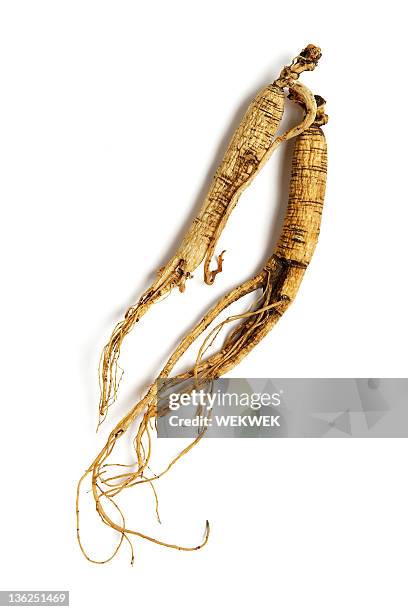 ginseng root - ginseng stockfoto's en -beelden