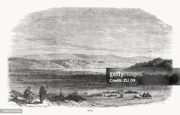 ilustraciones, imágenes clip art, dibujos animados e iconos de stock de vista histórica de moab (jordania), grabado en madera, publicado en 1862 - jordan middle east