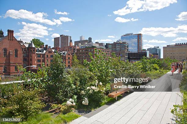 perennials and benches near elevated city park. - communities public park stock pictures, royalty-free photos & images