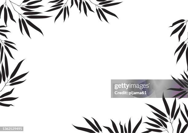 bamboo frame isolated on white background - bamboo frame stock illustrations