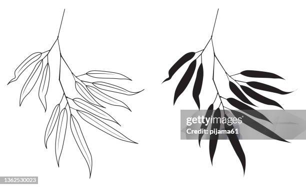 black leaves on bamboo branch silhouette isolated on white background. - bamboo texture stock illustrations
