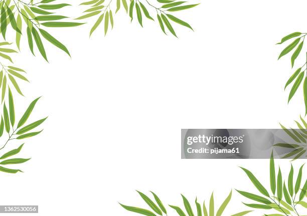 ilustraciones, imágenes clip art, dibujos animados e iconos de stock de marco de hojas de color verde sobre fondo blanco - stick plant part