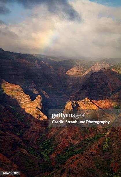 colors of canyon - waimea canyon state park stock pictures, royalty-free photos & images