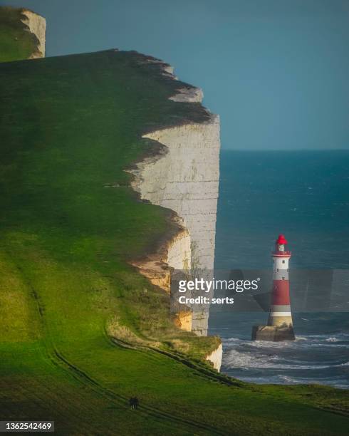 lighthouse at beachy head and white cliffs, eastbourne downland, south downs national park, england - kent england stockfoto's en -beelden