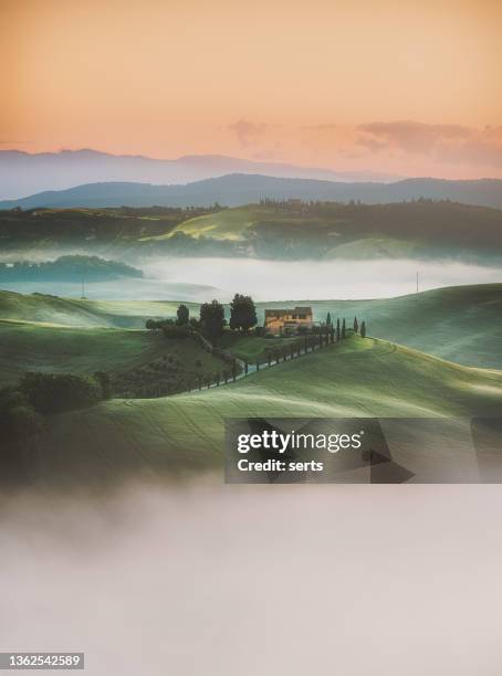 toskana sonnenaufgang landschaft blick auf grüne hügel gesäumt von zypressen italien, europa - asciano stock-fotos und bilder