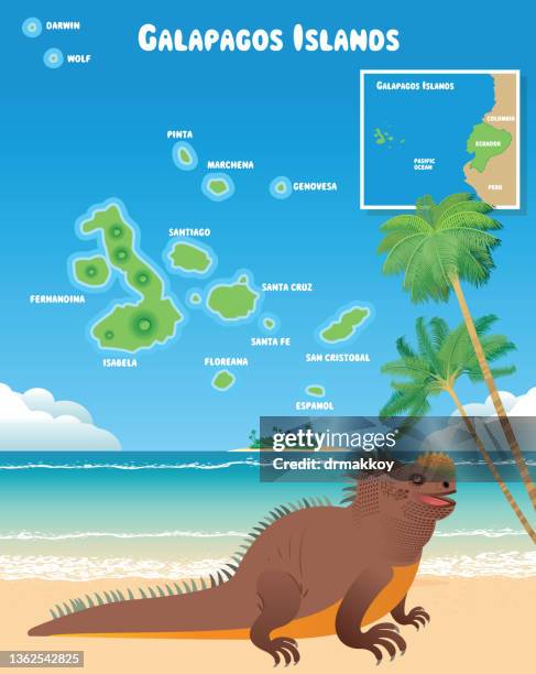 galapagos islands and iguana - active volcano stock illustrations