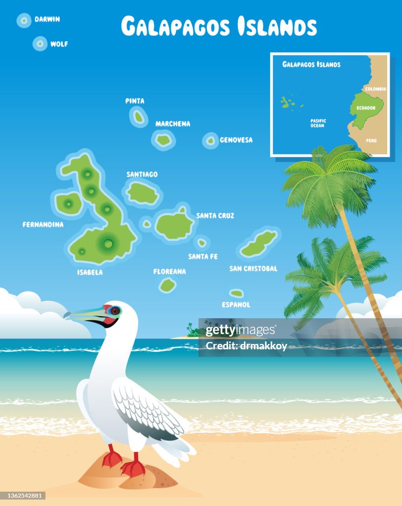 Galapagos Islands and Red Footed Booby