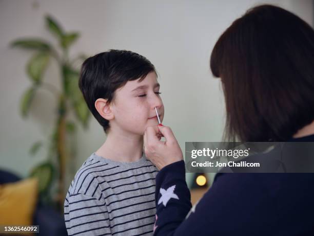 a boy is having a  lateral flow tests lft test done at home to check if he's infected with covid - nasal swab stock pictures, royalty-free photos & images