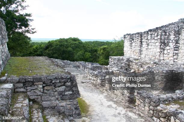 top of calakmul ruins - coba stock pictures, royalty-free photos & images