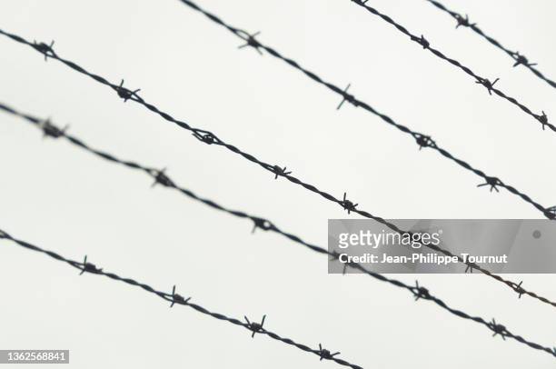 lines of barbed wire - holocaust photos fotografías e imágenes de stock