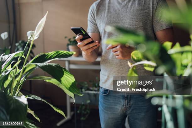 anonymous caucasian gardener checking his mobile phone while working in an indoor garden - gardening tools stock pictures, royalty-free photos & images