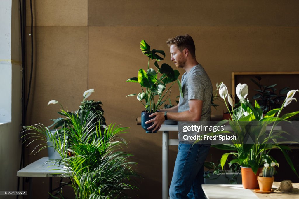 Beau jardinier caucasien portant une plante en pot dans son jardin