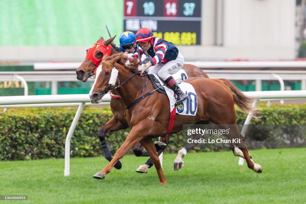 Horse Racing in Hong Kong - Sha Tin Racecourse