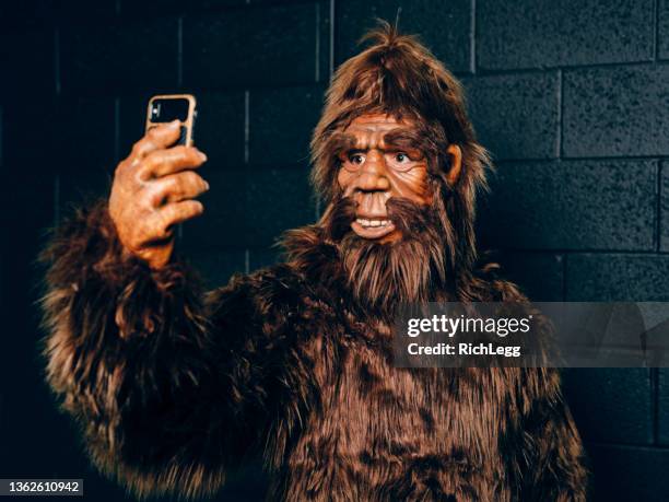 sasquatch bigfoot - funny looking at phone stock pictures, royalty-free photos & images