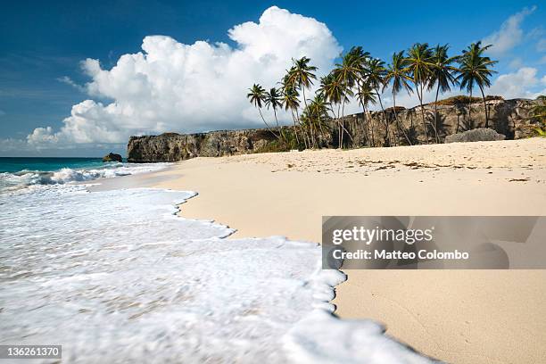 surf wash over tropical beach - bottom bay stock pictures, royalty-free photos & images