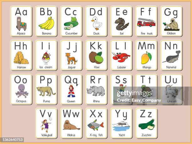 ilustrações de stock, clip art, desenhos animados e ícones de vector illustration of the alphabet flash card a-z uppercase or lowercase letters for beginners abc - alphabet