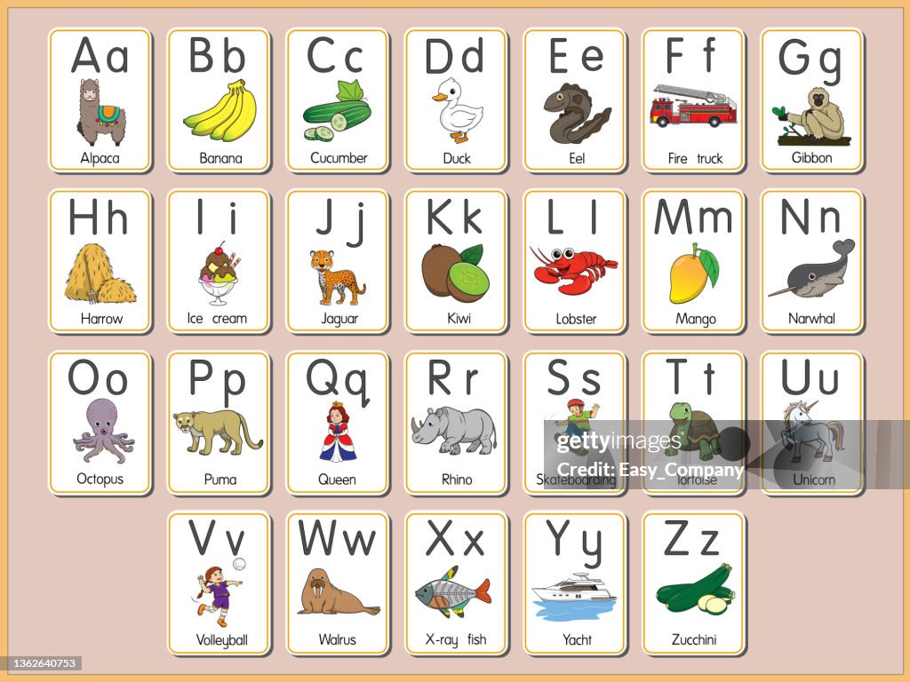 Vector illustration of the alphabet flash card A-Z Uppercase or lowercase letters for beginners ABC