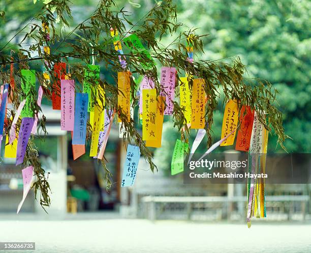 star festival - festival tanabata imagens e fotografias de stock