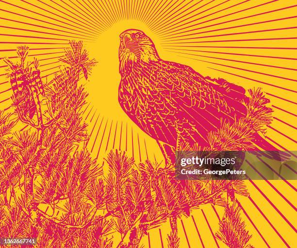 9,263 Red Eagle Photos and Premium High Res Pictures - Getty Images 9,263 Red Eagle Photos and Premium High Res Pictures - Getty Images