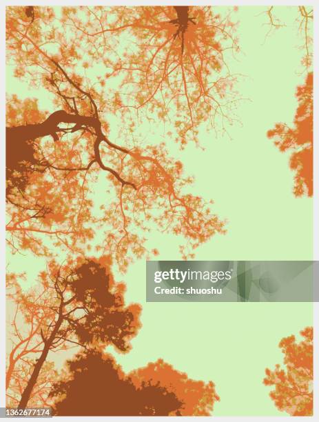 color woodcut style trees branch texture background - pine tree engraving vector stock illustrations