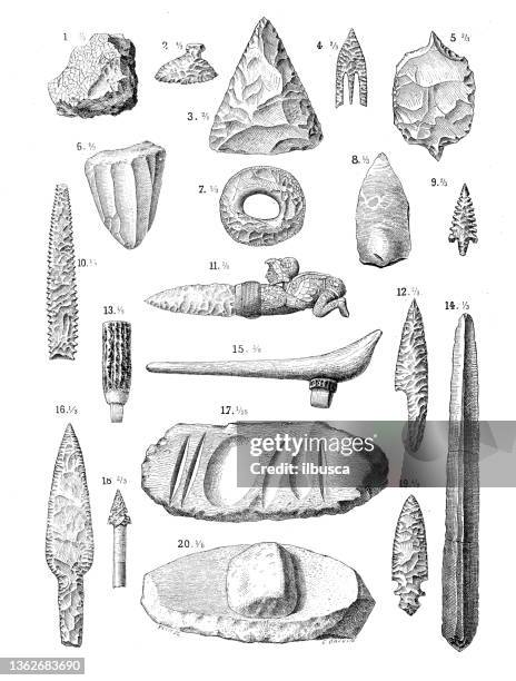 antique illustration: flint - early homo sapiens stock illustrations