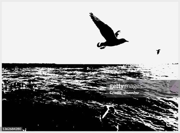 schwarz-weiße naturszene im holzschnittstil, möwen fliegen auf see - seagull stock-grafiken, -clipart, -cartoons und -symbole