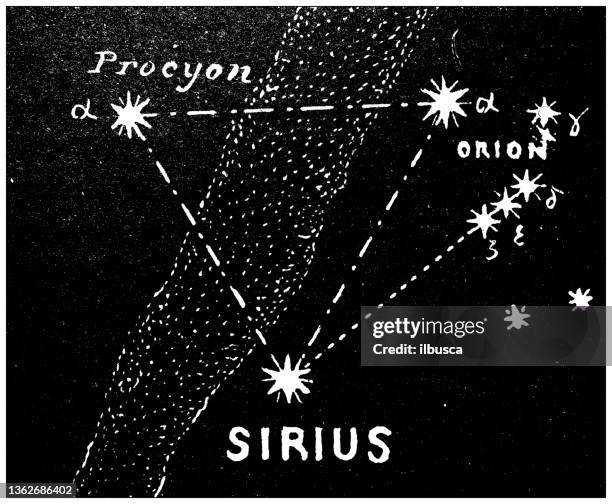 antique illustration: sirius - sirius star stock illustrations