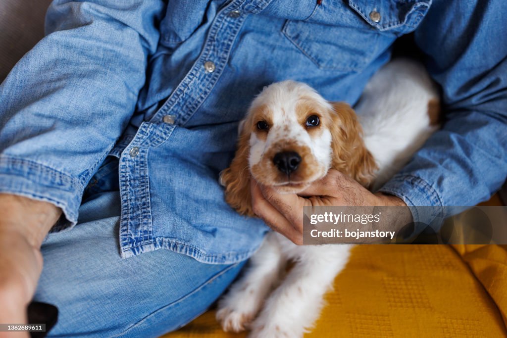 Amici che si godono il tempo libero a casa