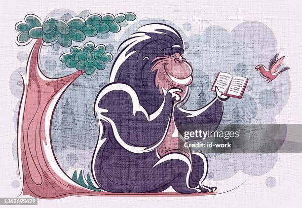 cheerful gorilla reading book - wise monkeys stock illustrations