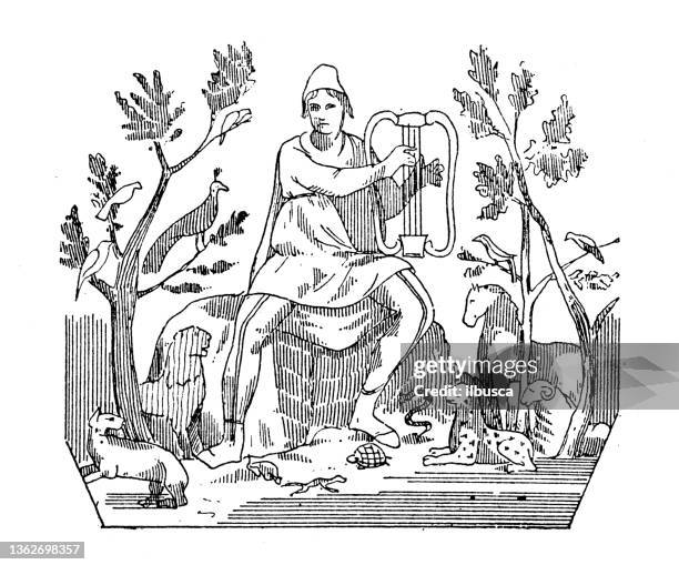 antique illustration: man with lyre and animals - lyre bird stock illustrations