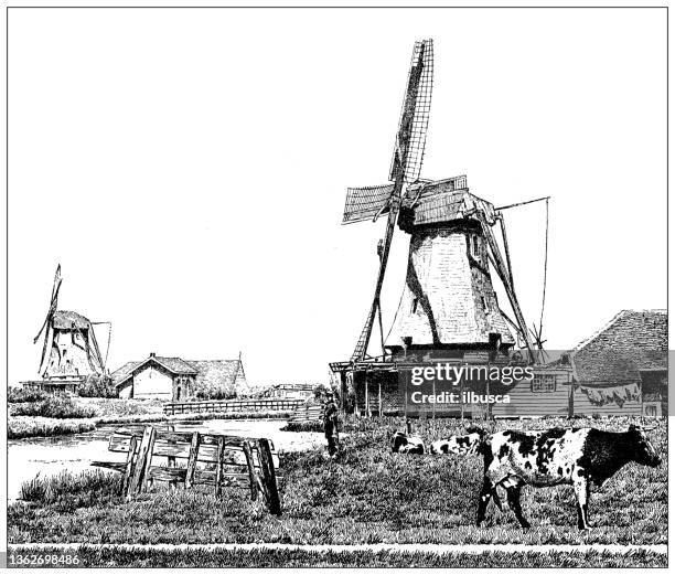 stockillustraties, clipart, cartoons en iconen met antique illustration: zaandam, netherlands - noord holland landschap