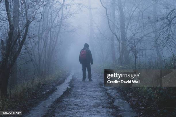 a hiker standing in a spooky forest. on a eerie, foggy winters day - lost stock pictures, royalty-free photos & images