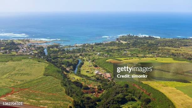 view of agricultural field in north shore - north shore oahu stock pictures, royalty-free photos & images