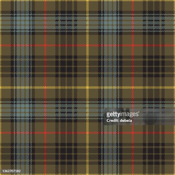 illustrations, cliparts, dessins animés et icônes de stewart hunting patiné tartan écossais plaid motif tissu swatch - tartan