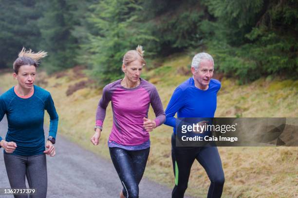 family jogging on trail in rainy woods - 3 old men jogging stock-fotos und bilder