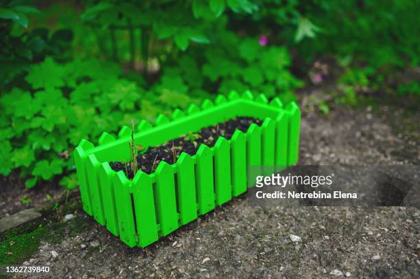 mini garden with a green wooden fence. healthy food, agriculture. gardening. environmental products - crunchy salad stock pictures, royalty-free photos & images