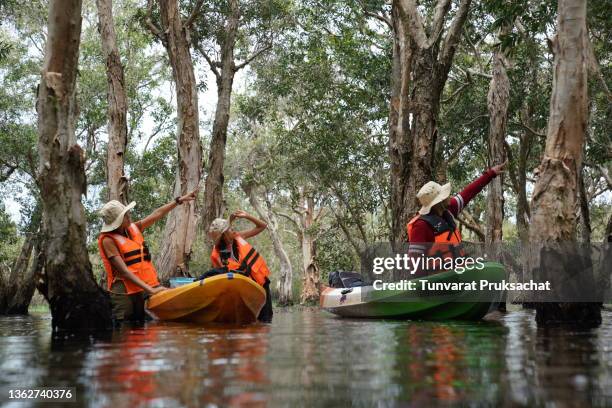 kayak activity  in the tropical forest by canoe. - bonaire stock-fotos und bilder