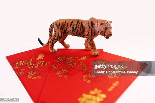 year of the tiger. chinese zodiac animal with red envelopes. - year of the tiger stock pictures, royalty-free photos & images