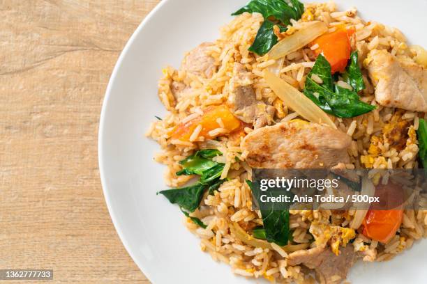 fried rice with pork on plate - golden egg restaurant stock pictures, royalty-free photos & images