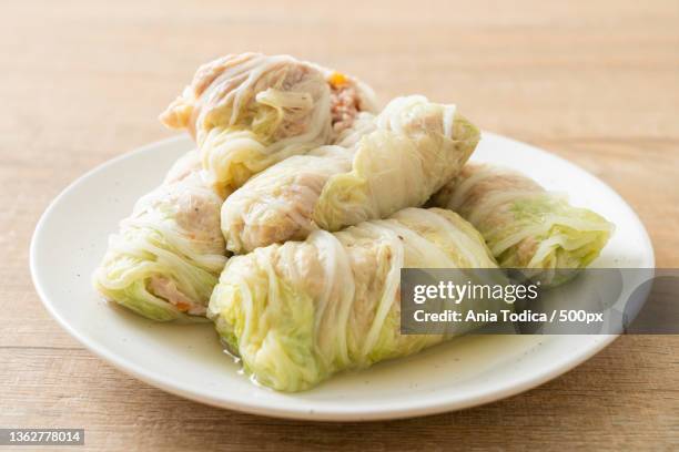 homemade minced pork wrapped,close-up of fried dumplings in plate on table - kål bildbanksfoton och bilder
