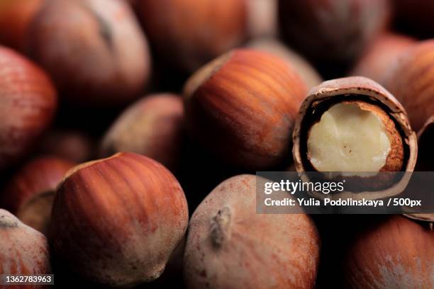macro shot of hazelnuts,full frame shot of chestnuts - hazelnoot stockfoto's en -beelden