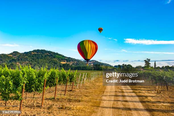 ca de napa valley. - balão de ar quente - fotografias e filmes do acervo