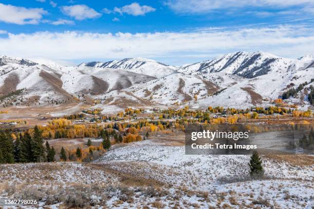 usa, idaho, ketchum, fall foliage in mountains near sun valley - ketchum idaho stock-fotos und bilder