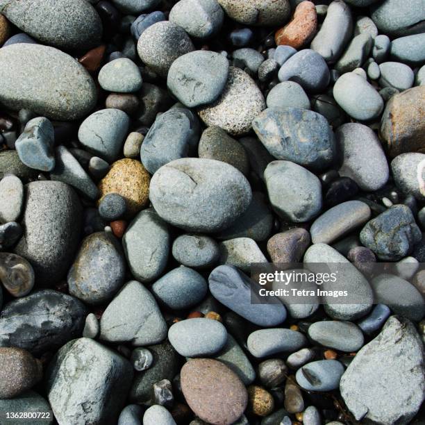 usa, maine, west quoddy head, overhead view of stones on beach - west quoddy head lighthouse stock-fotos und bilder