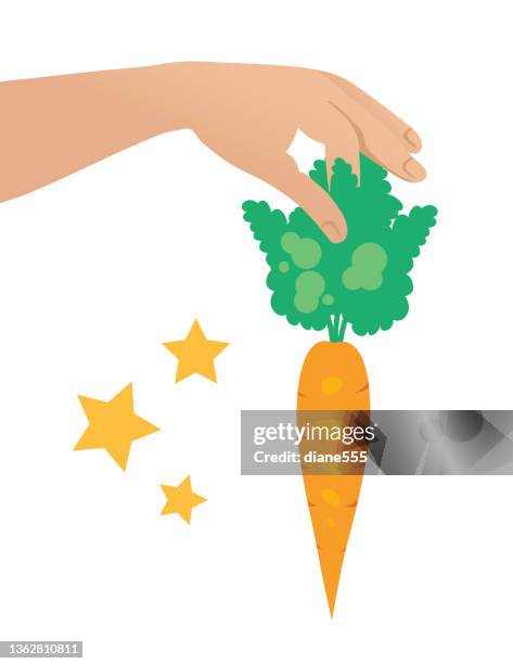 hand holding a carrot as an incentive on a transparent background - dangle carrot stock illustrations