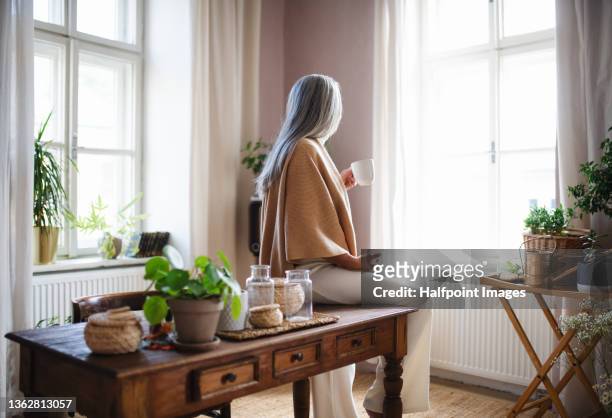 rear view of fashionable senior woman sitting on table and drinking coffee at home. - camel active fotografías e imágenes de stock